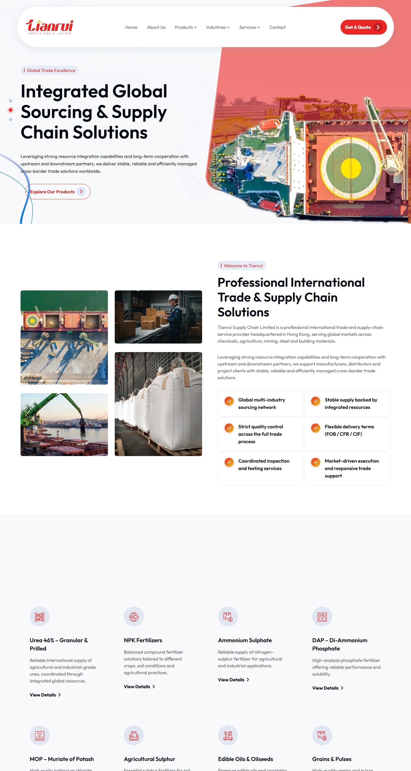 نمای کاملتر صفحه اصلی در دسکتاپ — سایت بینالمللی TIANRUI Supply Chain